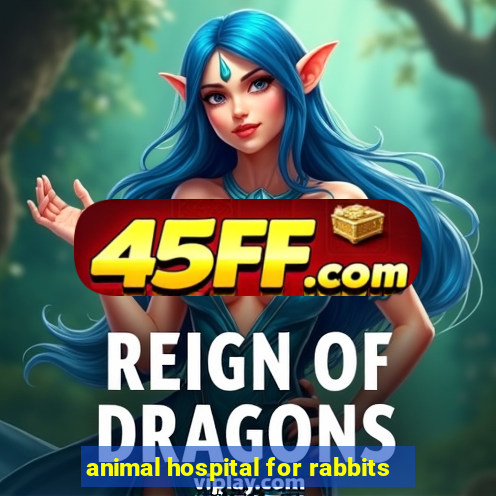 animal hospital for rabbits
